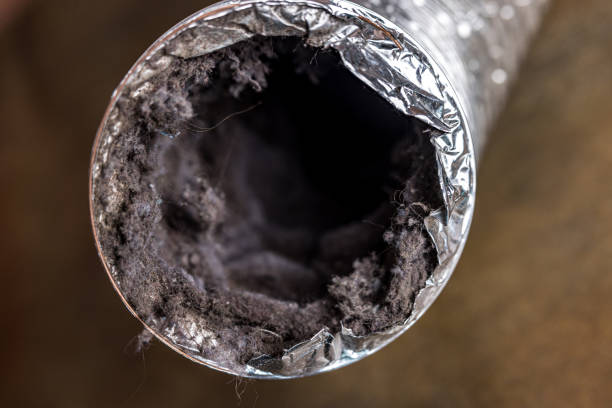 Best HVAC Duct Inspection Services  in Tobaccoville, NC
